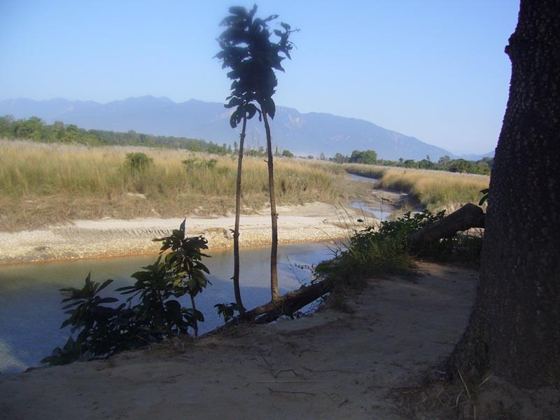 Forest Hideaway Resort Pvt Ltd Bardiya Exterior foto